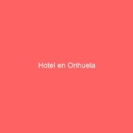 Hotel en Orihuela