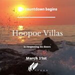 Descubre la Nueva Web de Hoopoe Villas Lanzarote: Lujo y Confort al Alcance de un Click