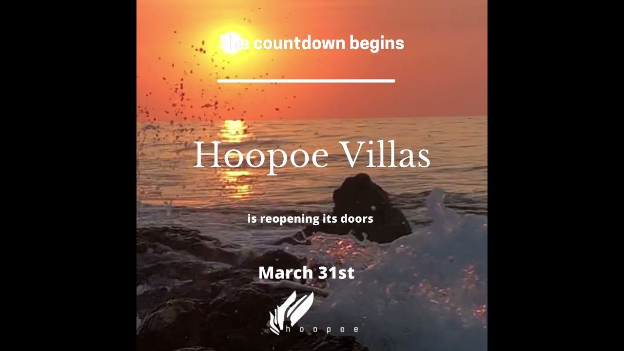 Descubre la Nueva Web de Hoopoe Villas Lanzarote: Lujo y Confort al Alcance de un Click